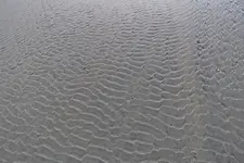 IMG_2605 v (2).webp