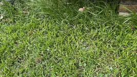 35326168-D1C8-4956-93C0-9003654BF6DA.webp