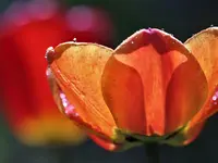 image003.webp
