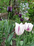 20200418_090139.jpg