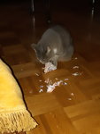 20200101_091808.jpg