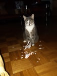 20200101_091823.jpg