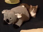 20191115_085646.jpg