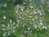 IMG_3516  v (3).webp