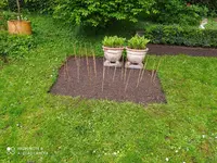IMG_20200418_150616.webp