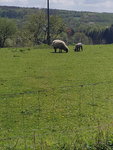 20200419_141905.jpg