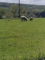 20200419_141905.jpg