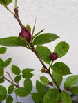 20200419_174753.jpg