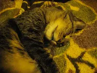 IMGP8878.webp