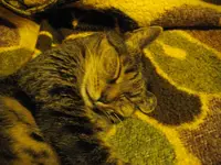 IMGP8875.webp
