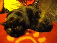 IMGP8877.webp