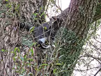 IMG_3378 v (2).webp
