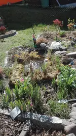 IMG_20200417_144615.webp