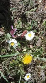 IMG_20200417_135841.jpg