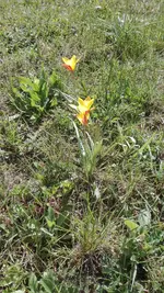 IMG_20200417_135136.jpg