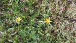 IMG_20200417_135123.jpg