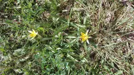 IMG_20200417_135123.webp