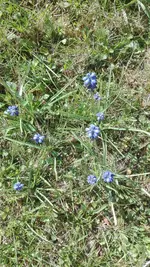 IMG_20200417_135054.jpg
