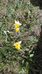 IMG_20200417_135047.jpg