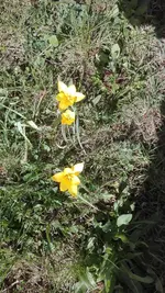IMG_20200417_135047.jpg