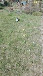 IMG_20200417_135035.jpg