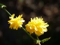 F7A96803-E8CE-4A9E-9023-76D4C205D352.jpeg