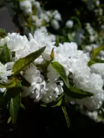 DSC05844.webp