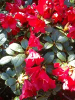 DSC05846.webp