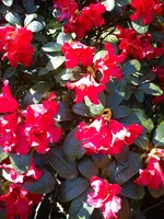 DSC05847.webp