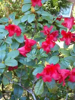 DSC05848.webp