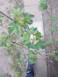 20200420_192800.jpg