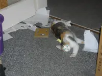 IMGP8882.webp