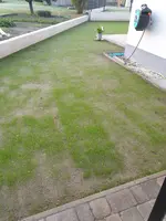 20190920_071818.webp