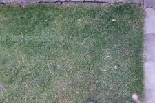 DSC02667.webp