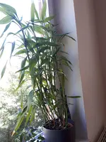 20200421_143450.webp 20200421_143450.webp