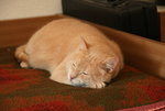 April0220.JPG