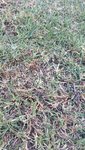 20200421_183809.jpg