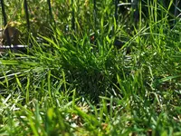 IMG_20200422_132258.webp