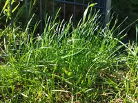 IMG_20200422_132303.webp