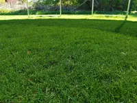 IMG_20200422_132504.webp