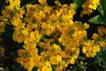 DSC_5648.JPG
