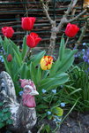 DSC_5651.JPG