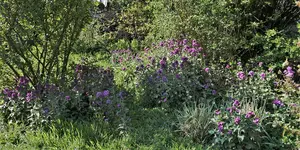 2020blmn  (7).webp