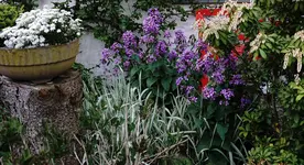 2020blmn  (10).webp