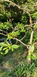 20200423_181846.jpg