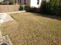 01 Nach Vertikutierung.webp
