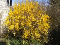 BILD1483.webp