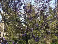 BILD1504.webp