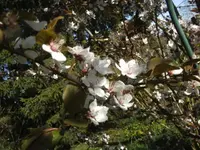 BILD1501.webp