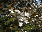 BILD1501.JPG